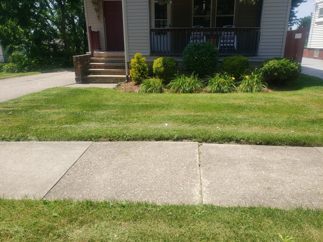 Freshly mowed front lawn in a residential neighborhood in Cleveland, Ohio.