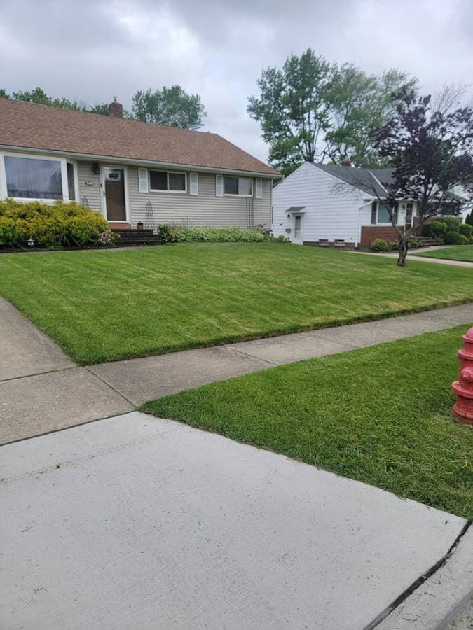Front yard lawn mowing and maintenance for a residential property in Cleveland, OH.