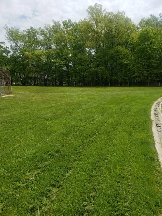Large backyard with freshly cut green grass after professional lawn mowing in Cleveland, Ohio