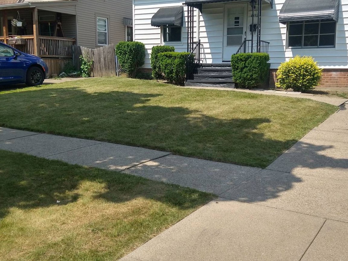 Freshly mowed residential front yard in Cleveland, Ohio after professional lawn care service